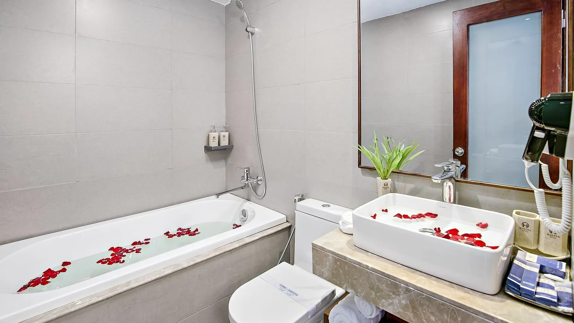Halina Hotel And Apartment Da Nang Vietnam