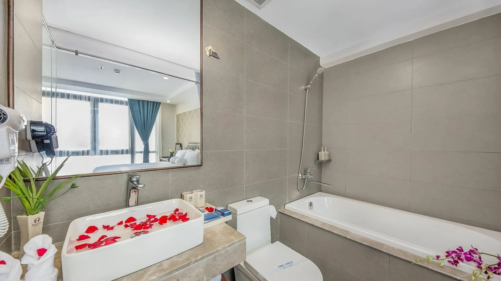 Hotel Halina Hotel&Apartment Da Nang